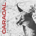 cover: Nstrument - Caracal