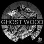 cover: Reyges - Ghost Wood