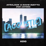 cover: Afrojack|David Guetta|Luxtides - Hero (Acoustic Version)