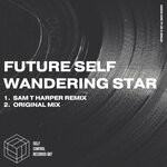 cover: Future Self - Wandering Star