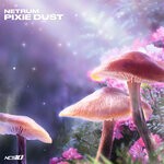 cover: Netrum - Pixie Dust