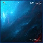 cover: Tav - Jungle (Original Mix)