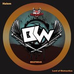 cover: Halem - Lord Of Distraction (Original Mix)