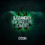 cover: Djseaneboy - New Magellanic Filaments EP