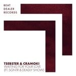 cover: Tsebster|Cramoki Feat Sgntr|Deadly Show - Waiting For Your Love