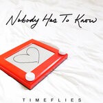 cover: Timeflies - Nobody Has To Know