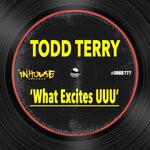 cover: Todd Terry - What Excites UUU