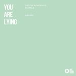 cover: Dejvid Kavazovic|Distale - You Are Lying