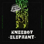 cover: Kneeboy - Elephant