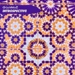 cover: Giannoz - Introspective (Extended Version)