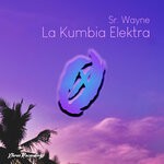 cover: Sr. Wayne - La Kumbia Elektra (Original Mix)