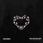 cover: Che Lingo - Feet Your Feelings