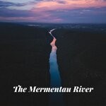 cover: Clint Meche - The Mermentau River