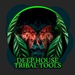 cover: Various - Deep House Tribal Tools