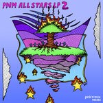 cover: Various - PNM All Stars LP 2