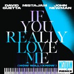 cover: David Guetta|John Newman|MistaJam - If You Really Love Me (How Will I Know) (MistaJam Remix)