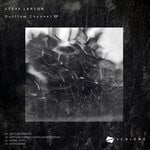 cover: Steve Larson - Outflow Channel EP