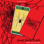 cover: Parquet Courts - Black Widow Spider