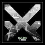 cover: Kolya Dark - Stamina