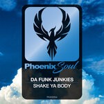 cover: Da Funk Junkies - Shake Ya Body