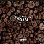 cover: Technogen - Foam (Original Mix)