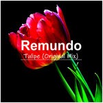 cover: Remundo - Tulipe