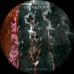 cover: Trom Borg - Restoration EP