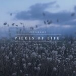 cover: Untearable Roots - Pieces Of Life