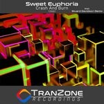 cover: Sweet Euphoria - Crash & Burn