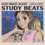 cover: Lofi Night Sleep - Study Beats