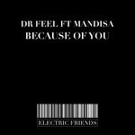 cover: Dr Feel|Mandisa - Because Of You