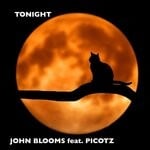 cover: Picotz - Tonight