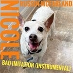 cover: Nicole Russin-mcfarland - Bad Imitation