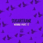 cover: Sugartrane - Wanna Make It