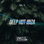 cover: Simone Cerquiglini|Various - Deep Hot Ibiza Vol 5