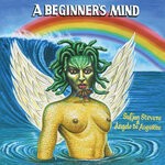 cover: Sufjan Stevens - A Beginner's Mind