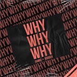 cover: Bodoux|Damiu - Why