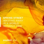 cover: Spring Street - Wasting Away In A World Without Time