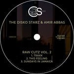 cover: The Disko Starz|Amir Abbas - Raw Cutz, Vol 2