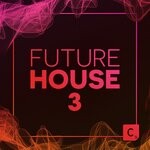 cover: Various - Future House Vol 3