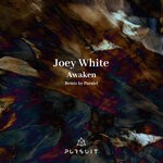 cover: Joey White|Paralel - Awaken