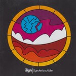 cover: The Syn - Syndestructible