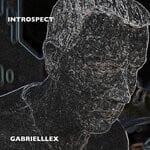 cover: Gabrielllex - Introspect