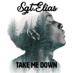 cover: Sgt.elias - Take Me Down