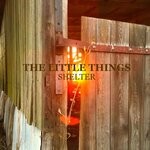 cover: The Little Things - Shelter