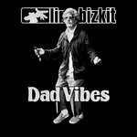 cover: Limp Bizkit - Dad Vibes