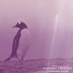 cover: Platonic Penguins - Looking Back