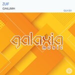 cover: Zuif - Gaillimh