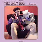 cover: The Grey Dog - Air Jordan