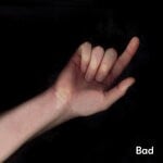 cover: Brothers Not Friends - Bad